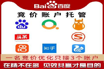 经典案例：专业SEM托管如何实现ROI最大化